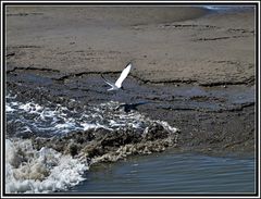 -Schiffsfahrt im Siel-