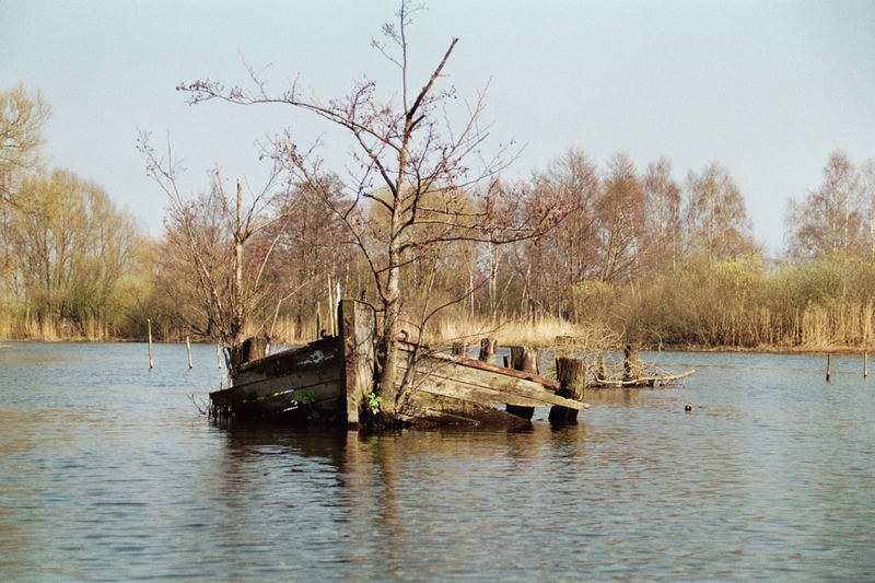 Schiffsfriedhof