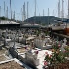 Schiffsfriedhof