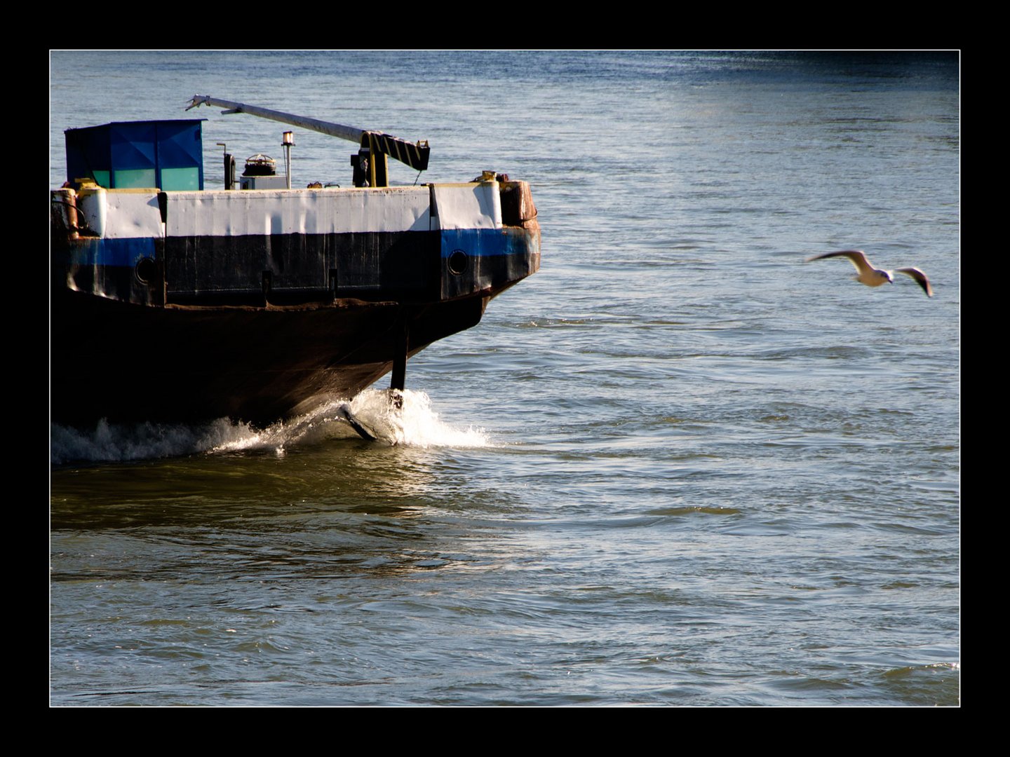Schiffslotse an dem Donau