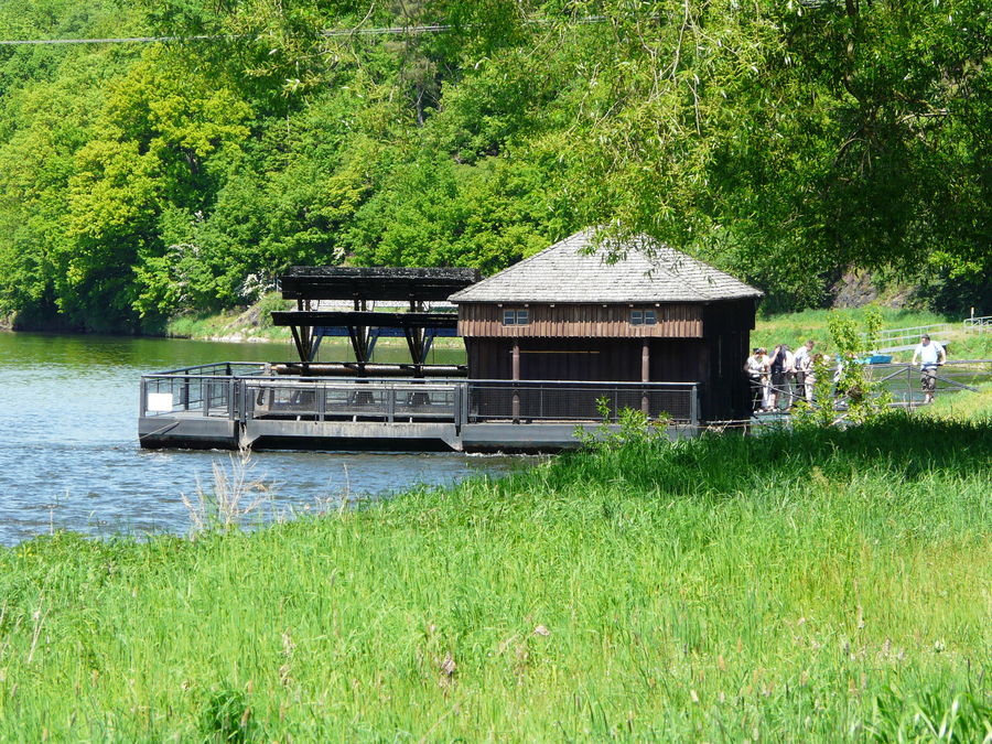 Schiffsmühle Höfgen/Grimma am Mühlentag 2008