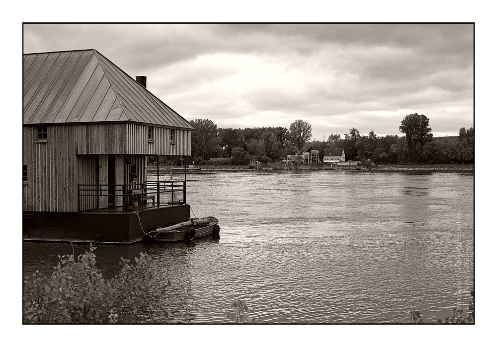 Schiffsmühle in Ginsheim - Rhein 2