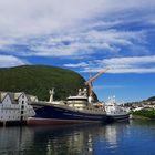 Schiffsrundfahrt Aalesund und wieder Schiffe