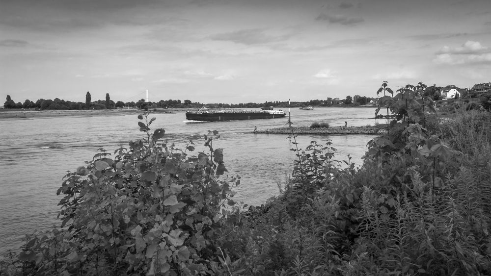 Schiffsverkehr auf dem Rhein