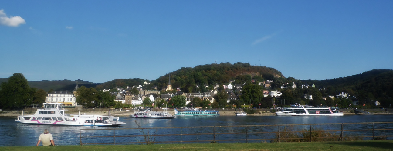 Schiffsverkehr auf dem Rhein