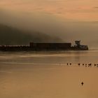 Schiffsverkehr im Morgennebel