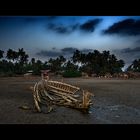 Schiffswrack am Chauntha Beach