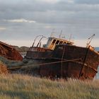 Schiffswrack am Ende der Welt