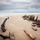 Schiffswrack am Rossbeigh Strand, Irland