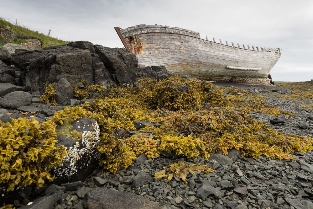 Schiffswrack auf Flatey