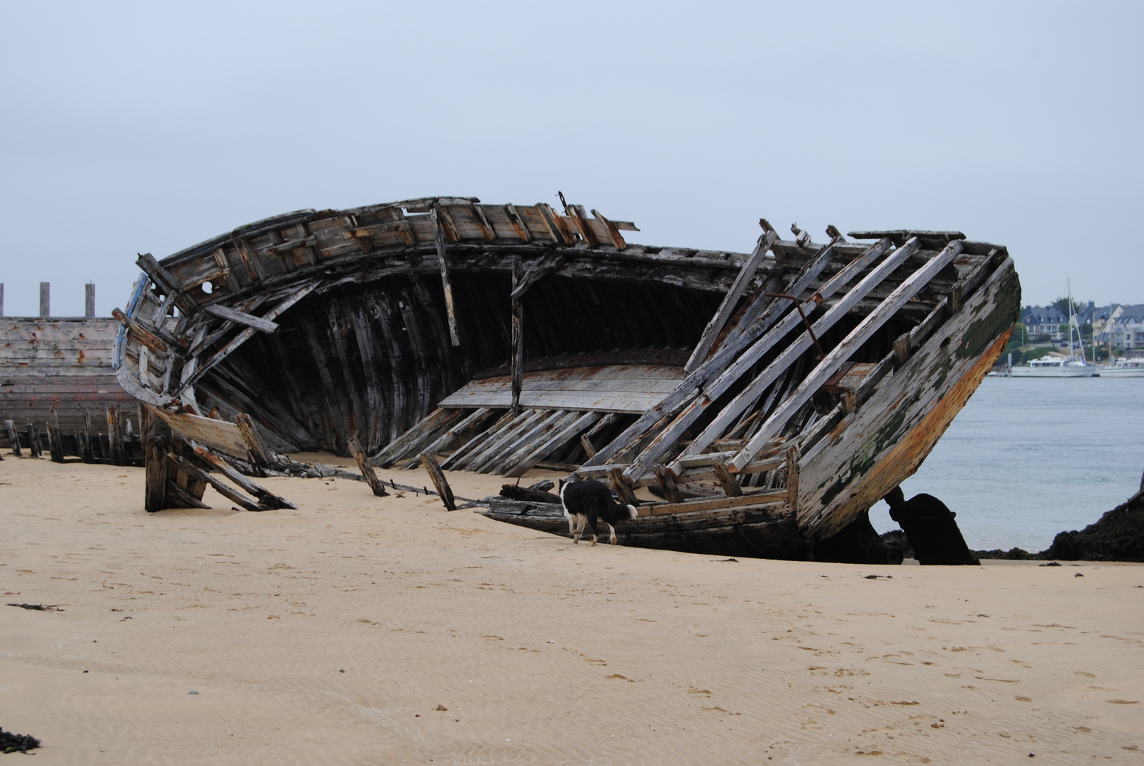 Schiffswrack bei Etel Bretagne