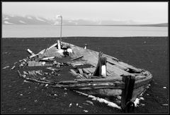 Schiffswrack • Deception Island