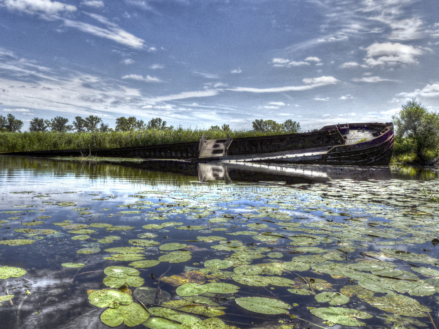 Schiffswrack im Oderbruch