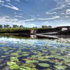 Schiffswrack im Oderbruch