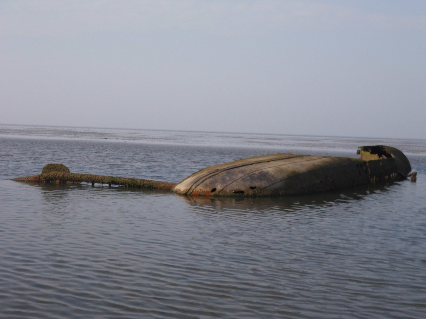 Schiffswrack im Watt