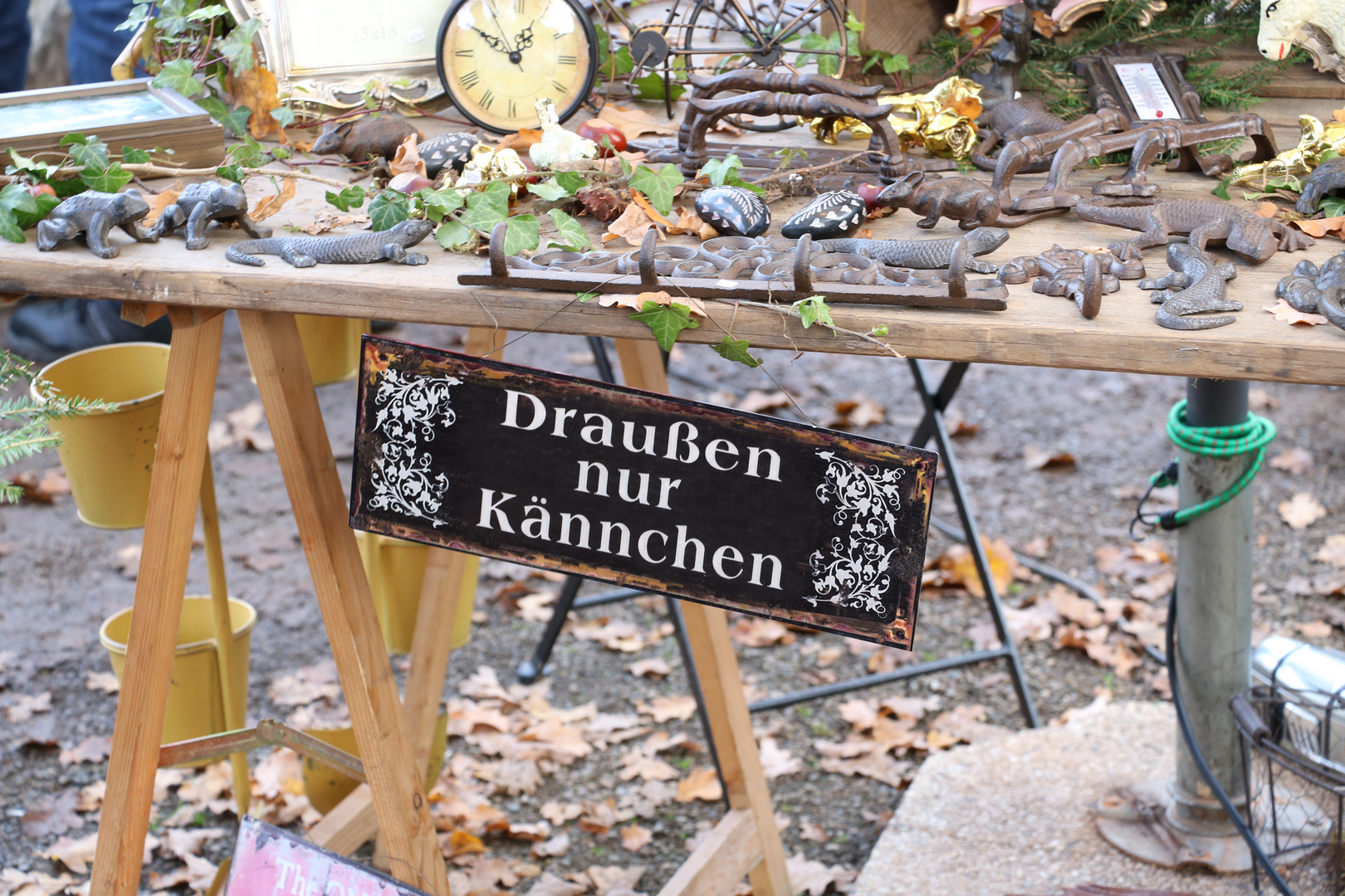 Schild