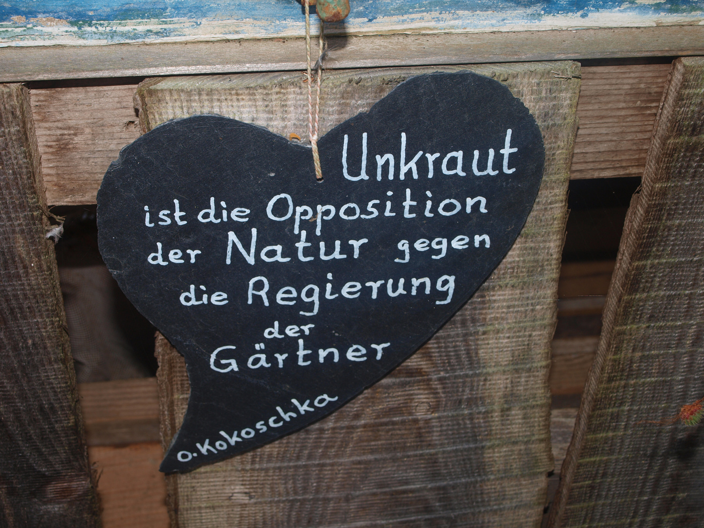 Schild