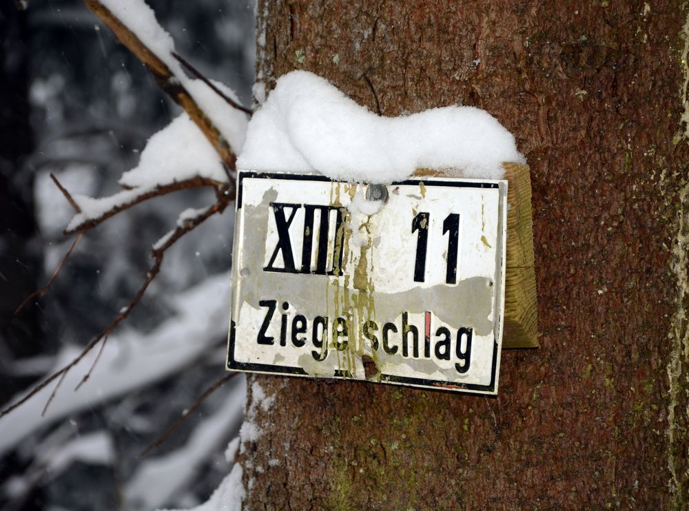 Schild am Baum