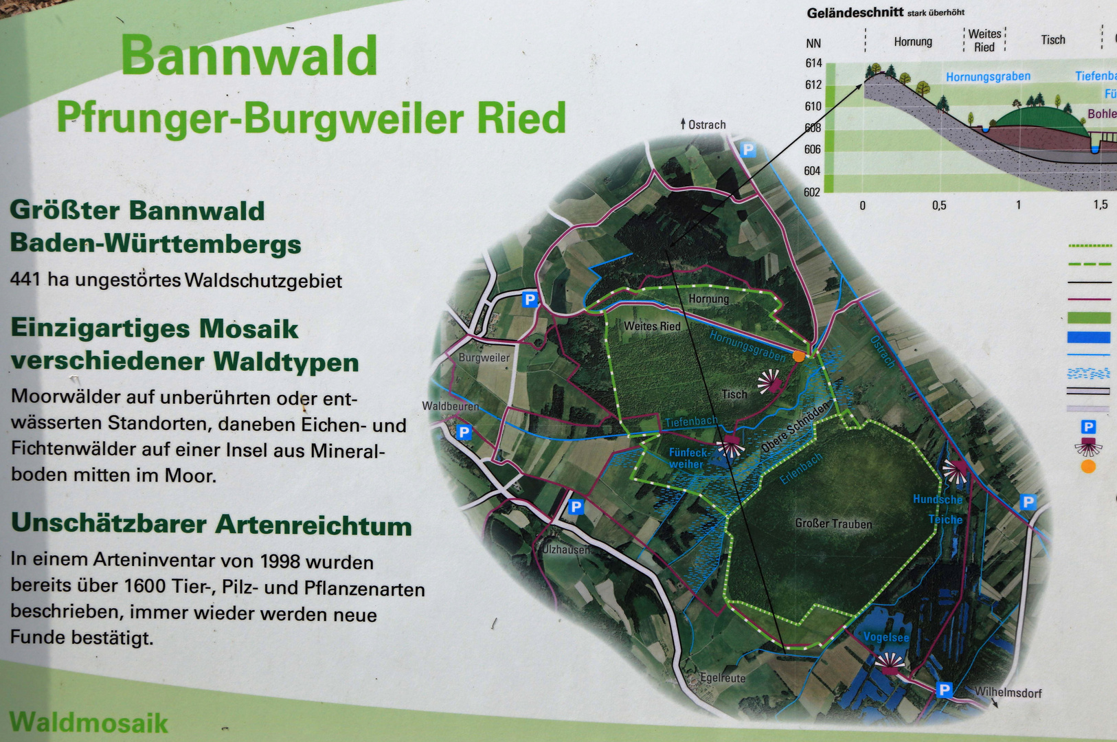 schild bannwald