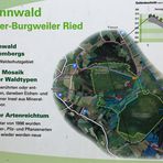 schild bannwald