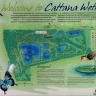 schild cattana wetlands