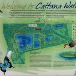 schild cattana wetlands