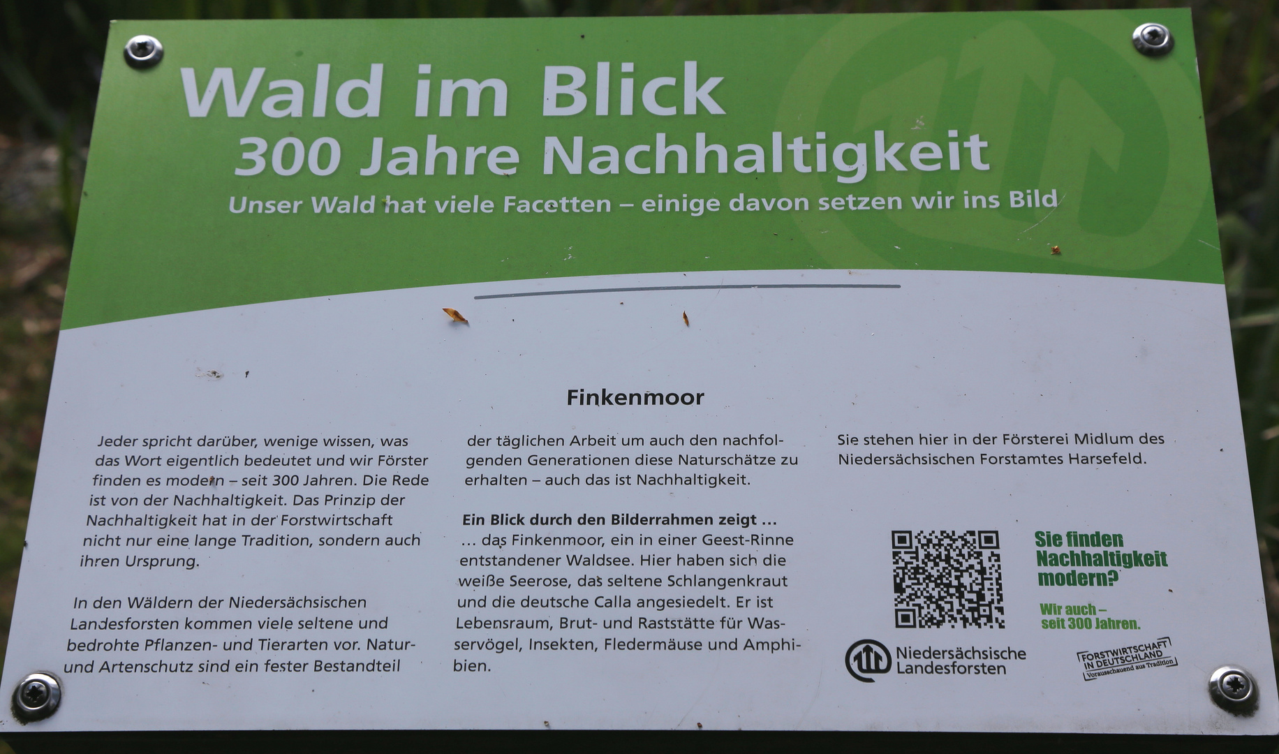 schild finkenmoor