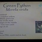 schild green python