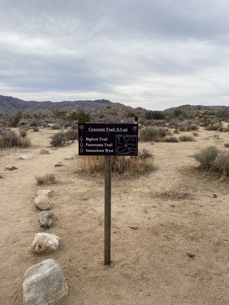 Schild im Joshua Tree National Park, Kalifornien