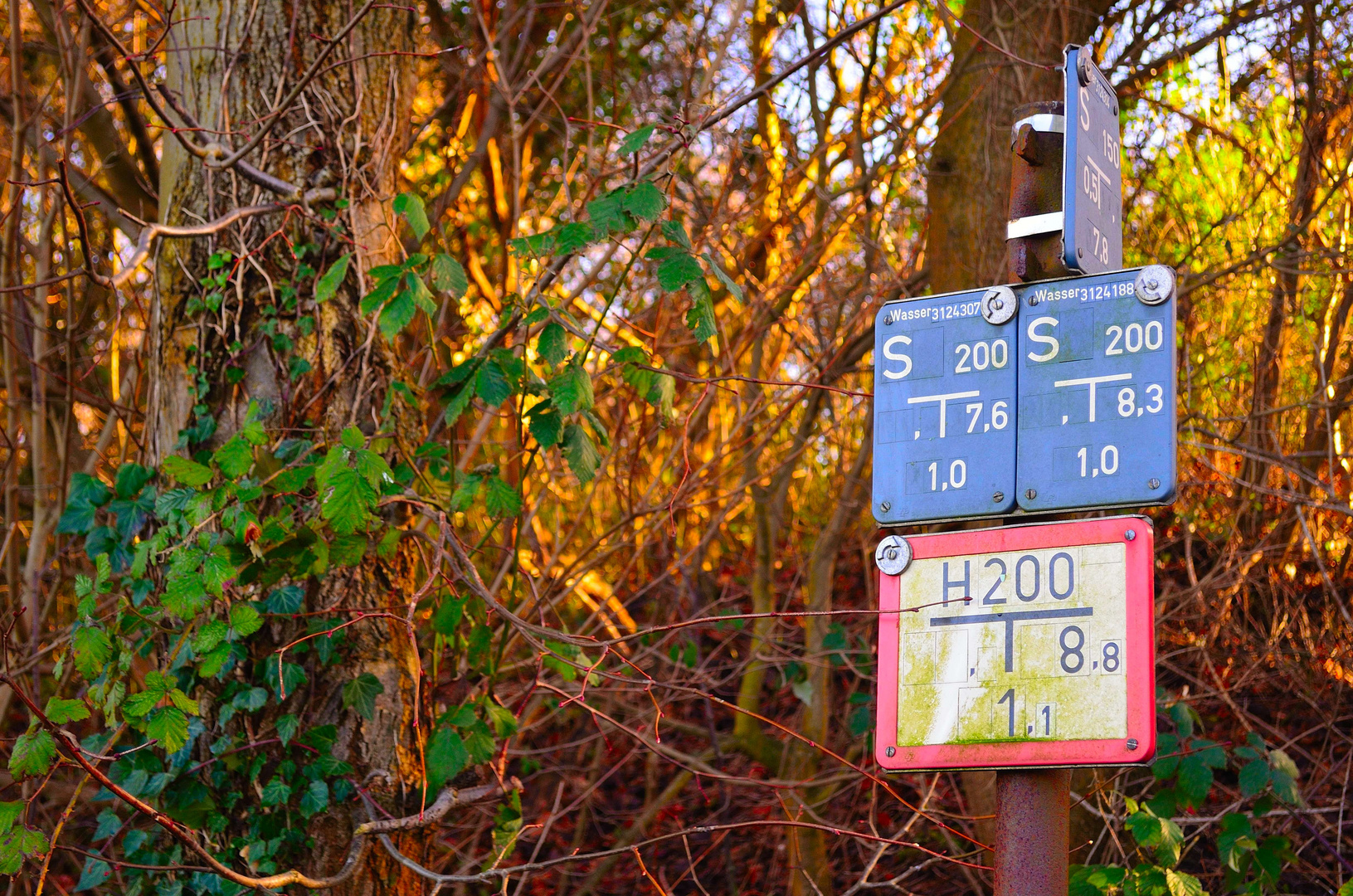 Schild in der Natur