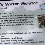 schild merten's water monitor