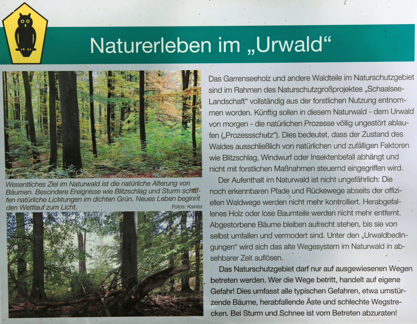 schild urwald