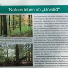 schild urwald