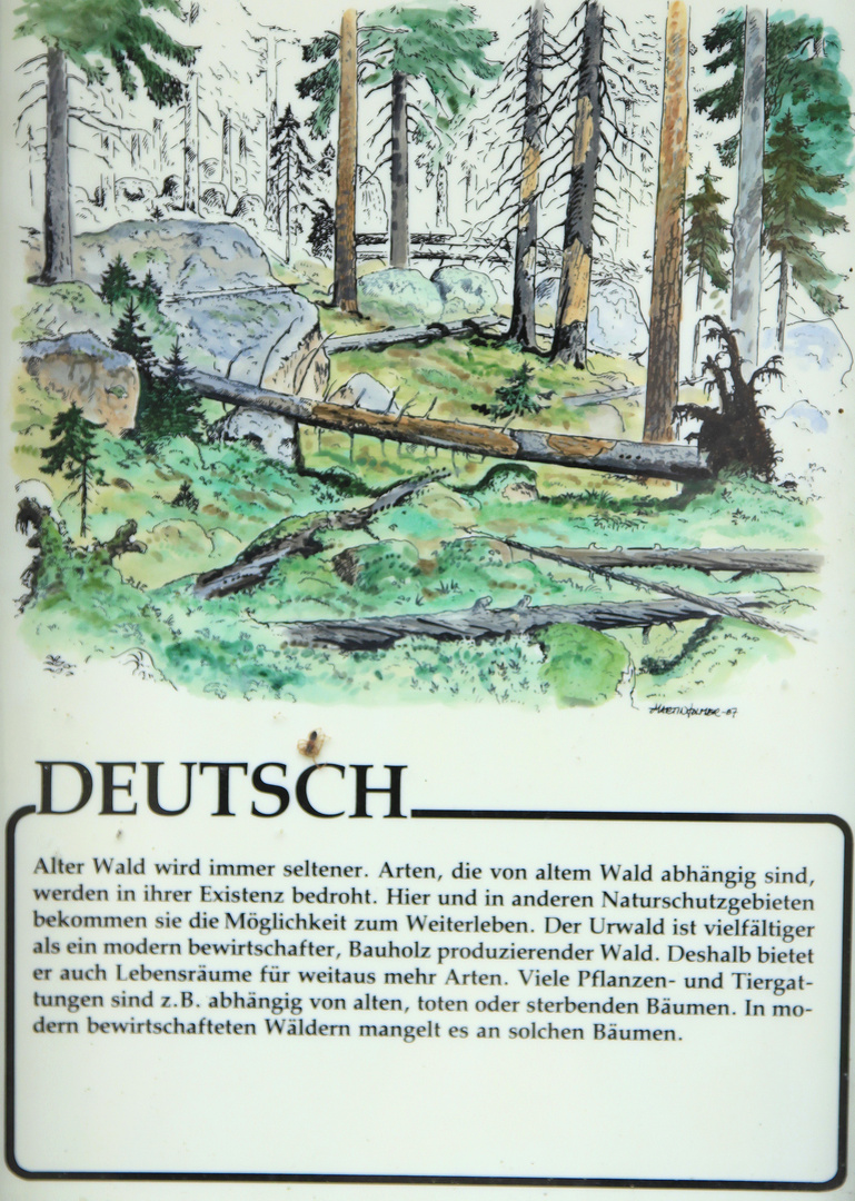 schild urwald