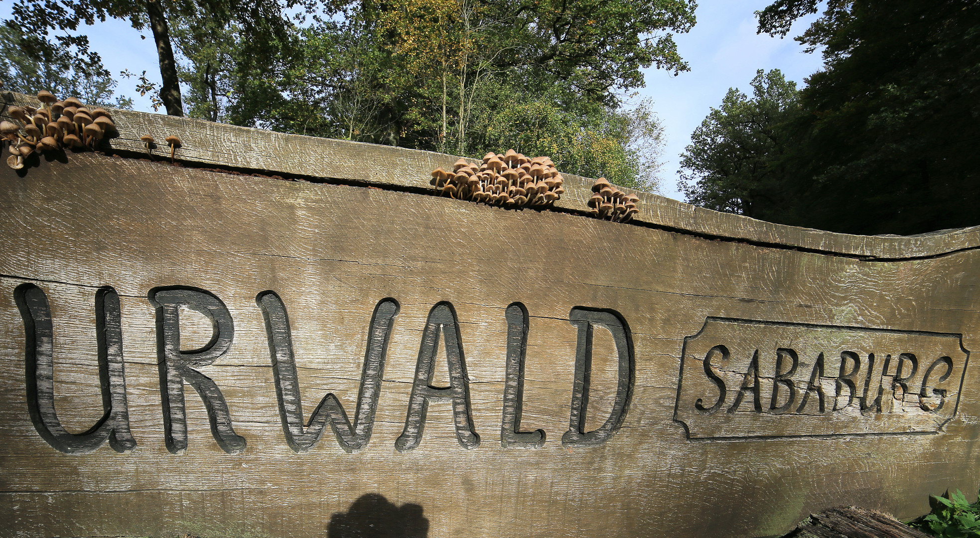 schild urwald sababurg