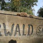 schild urwald sababurg