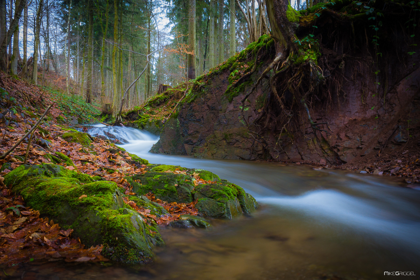 Schildau im Fluss