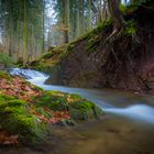 Schildau im Fluss