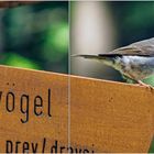 »Schildbürger« im Nationalpark