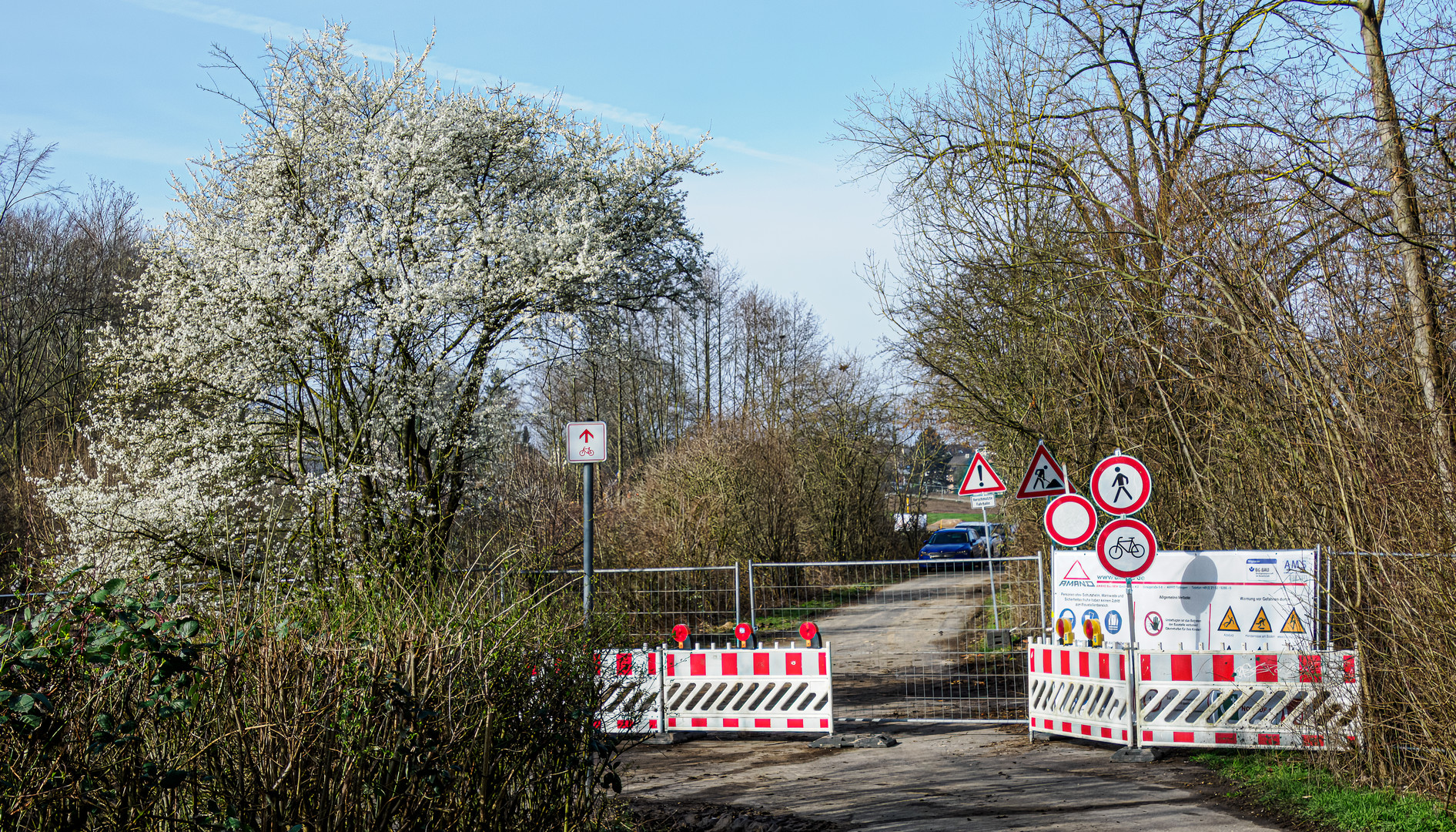 Schilder, Blüten, Durchblick, alles klar?