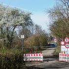 Schilder, Blüten, Durchblick, alles klar?