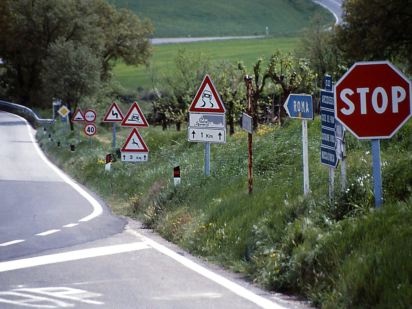 Schilder - Wald