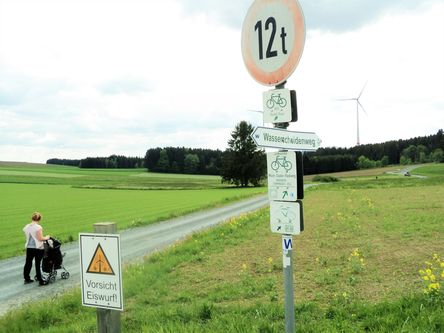 Schilderwald in freier Natur