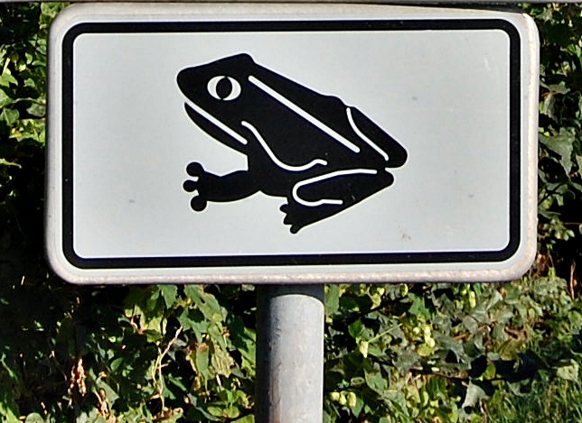 "Schild"kröte