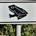 "Schild"kröte