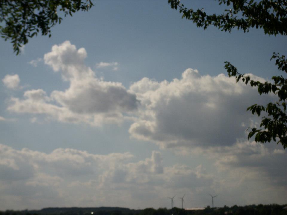 Schildkröte als Wolke