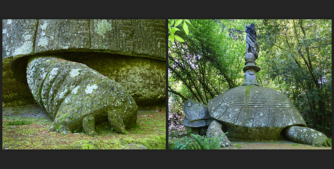 Schildkröte im Monsterwald