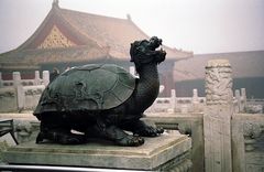 Schildkröte in der Verbotenen Stadt von Beijing