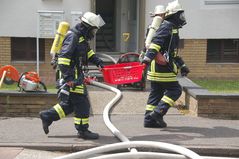 Schildkröten-Rettungsdienst