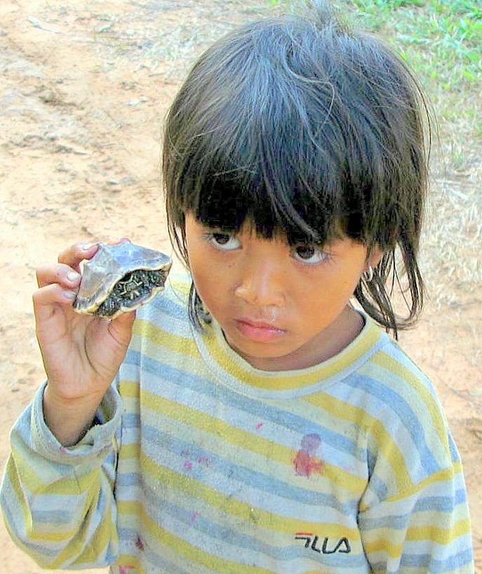 Schildkröten-Verkäuferin in Angkor